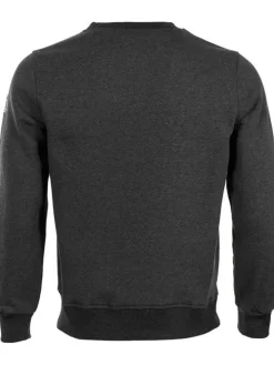 Sweatshirt grijs